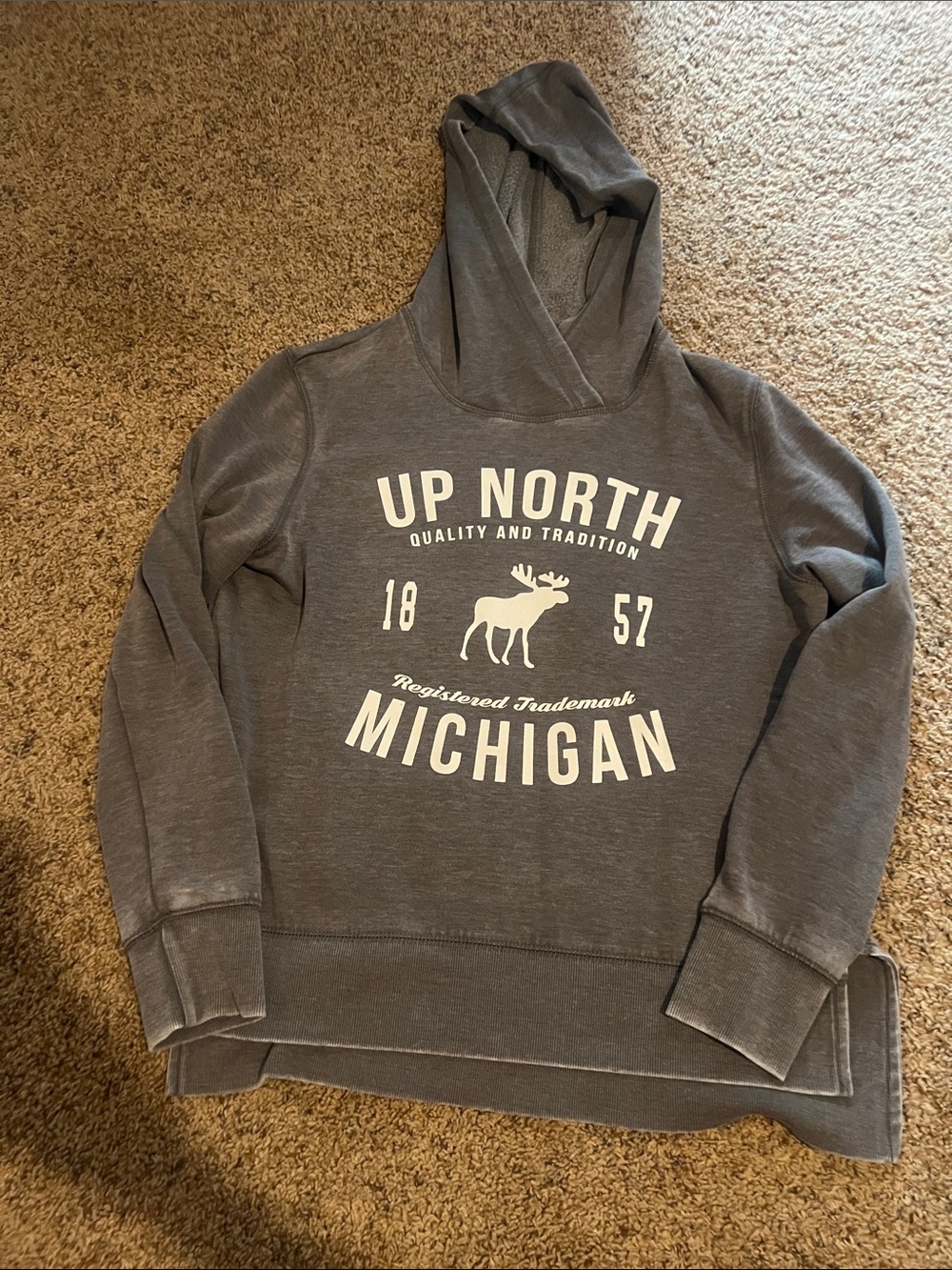 Michigan Gray Hooded Sweatshirt - women